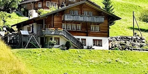 Picture 1