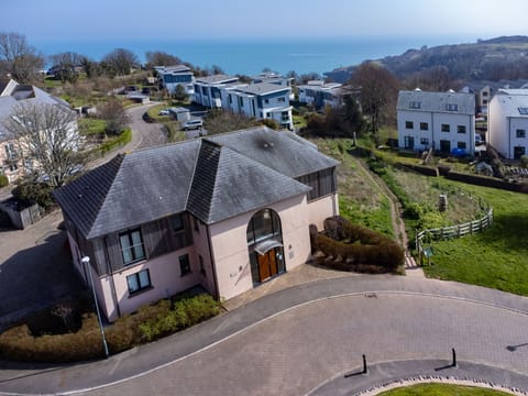 Birds eye view of Seahorse at St Marys