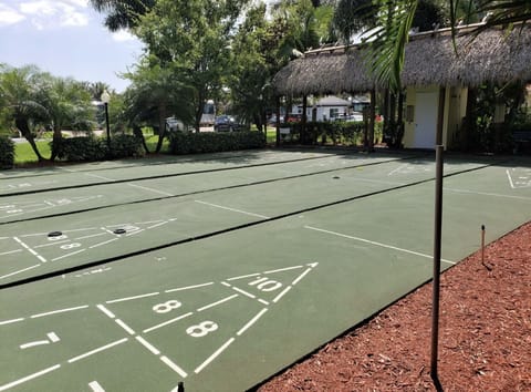 Shuffleboard courts