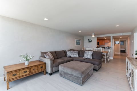 Living Area / Dining Area / Kitchen