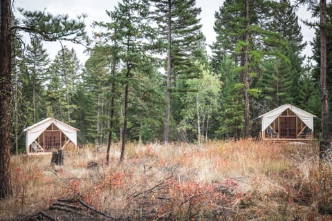 Queen and Bunk tent are approximately 100 ft apart.