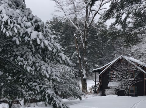 the Hemlock Haus in the snow