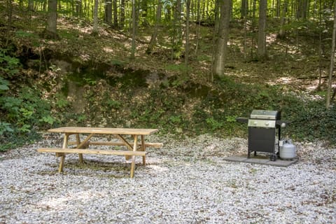 Picnic area. Gas grill (not available during Winter)