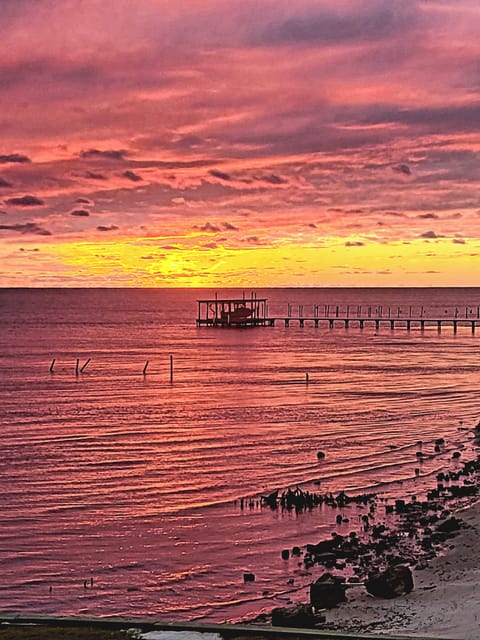 Amazing sunsets from the back porch and yard!