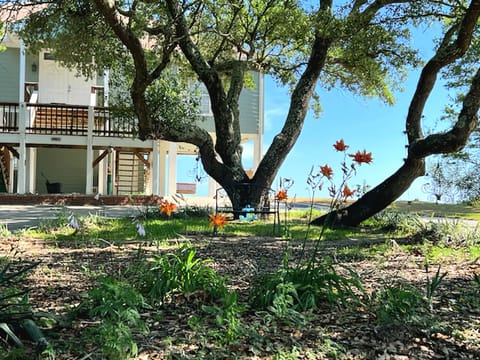 Welcome to paradise!