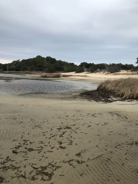 Secluded beach area next to condo