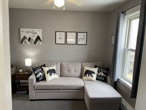Living Room pull out sofa easily converts to full size bed. 