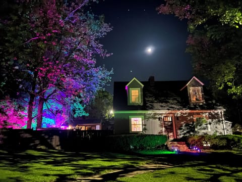 Winter wonderland awaits ! Everything is holiday modern farm Christmas decor