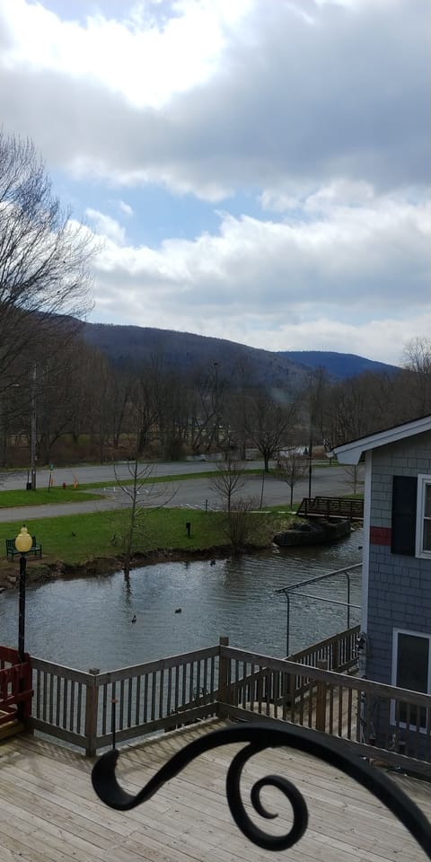 View from apartment window