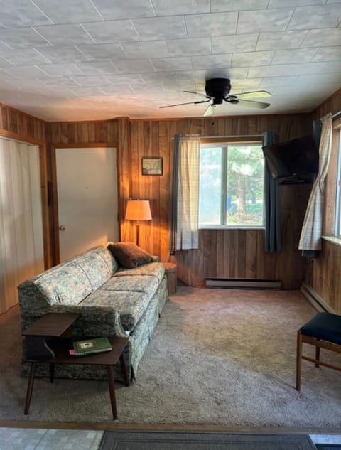 Living room with sofa bed.