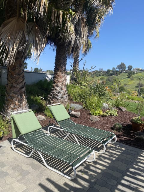 Sunbathing area under palm trees