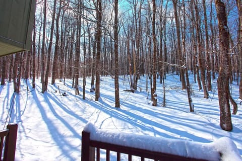 Winter wonderland views from our chalet.