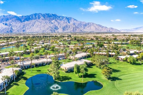 Bird`s eve view of your pond and fountain - And Way More!