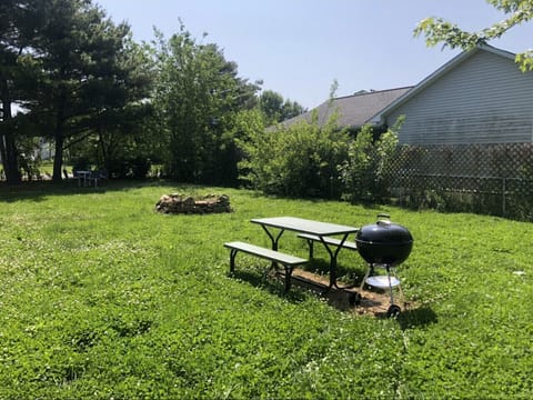 Grill, picnic table, and fire pit