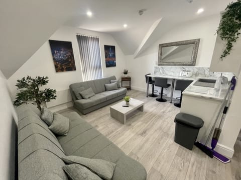 suite 6