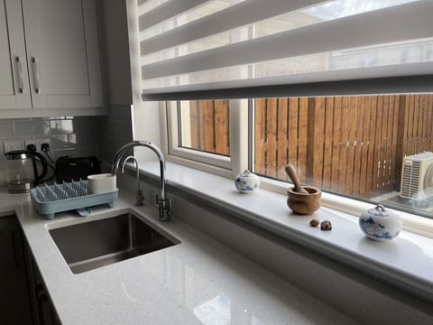 2 tabs here and the one on the left is designated for drinking water.