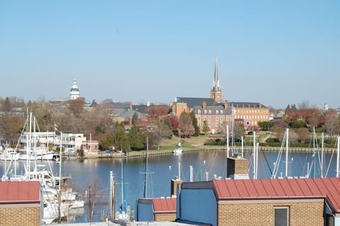 View from rooftop deck!