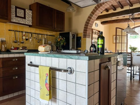 Center island of the Villa's kitchen has a grill, fryer and 6 burner gas stove.