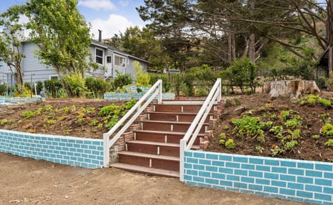 New brick walls, new stairs & new gardening soil