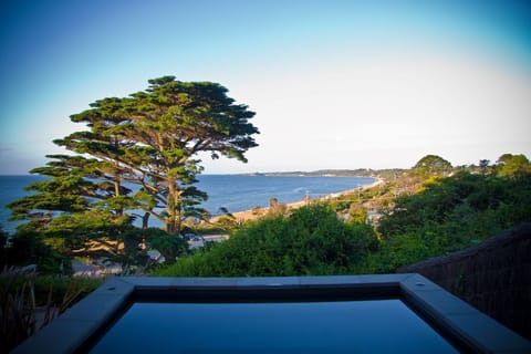 Million dollar views! 