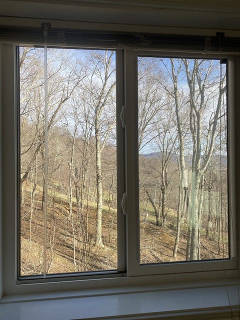 Slope and Morning Beech View