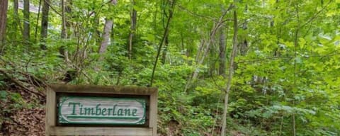Timberlane Mountain Studio sits just above the "Timberlane" sign.
