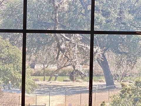 On the Rocks - Steps from the Frio River..