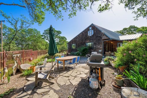Flagstone, Patio, Outdoors, Bench, Furniture