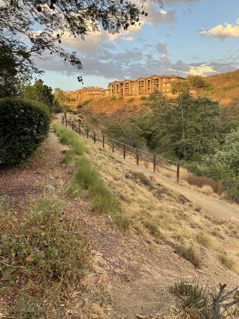 Walking trails behind complex 