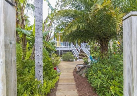 Island Surf Cottage