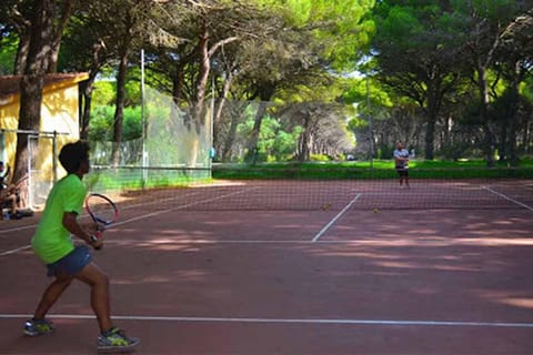 Holiday Park Facilities and Services 