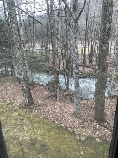 Gorgeous view of the Mill Brook and start of the Catamount Trail.