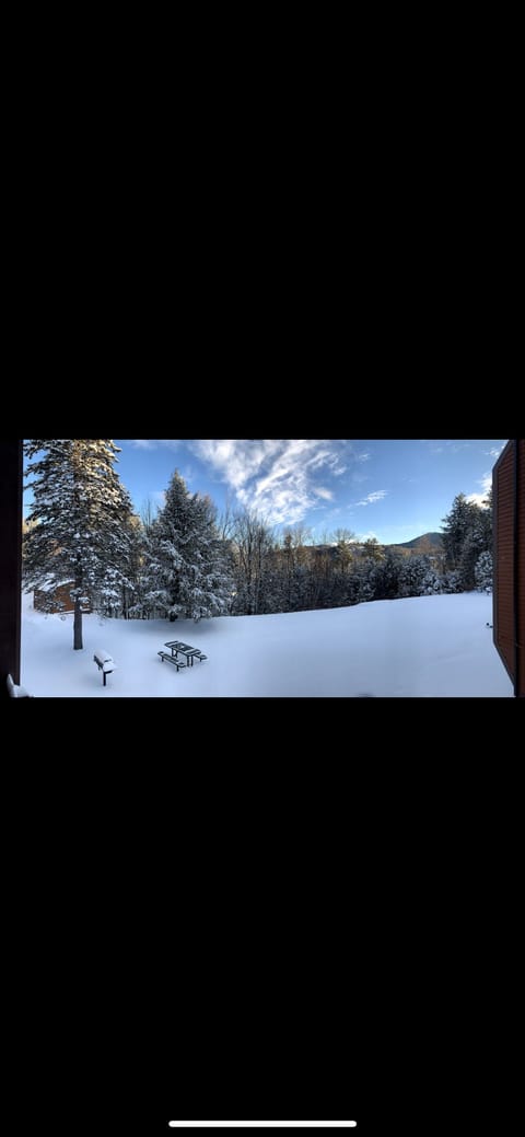 winter view from condo