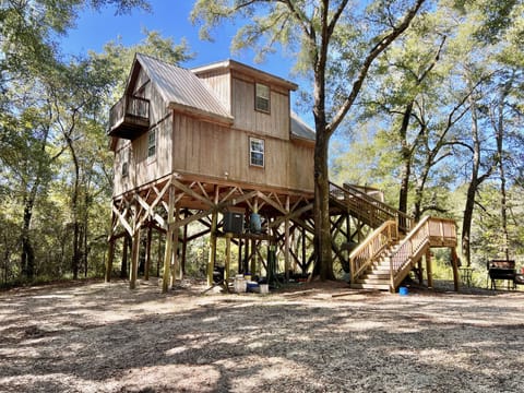 The Magic Tree House