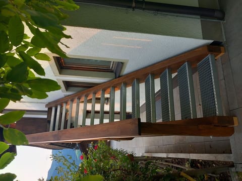 Plant, Daytime, Property, Botany, Building, Wood, Architecture, Line, Rectangle