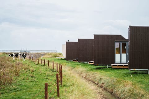 Main view