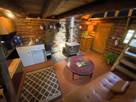 Wolverine Interior (1)