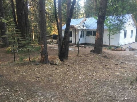 Relax and unwind in peace at our private, woodsy cabin. 2 hours from SF.