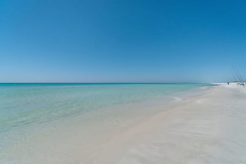 YOU deserve to be HERE! The Oasis awaits your reservations! 