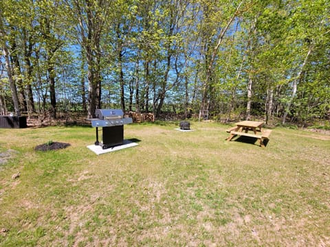 BBQ, firepit picnic area. shared space for both suites.