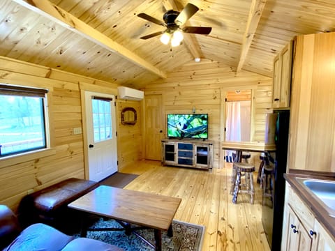 TV has Prime and Sling