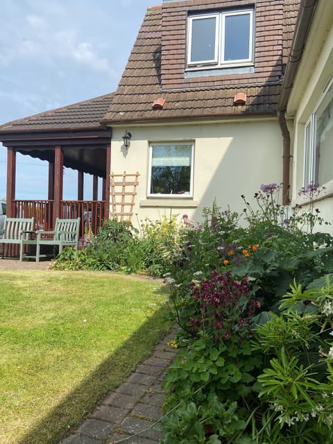 Summer sun in the front garden