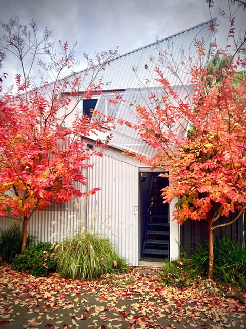 Main entrance Autumn