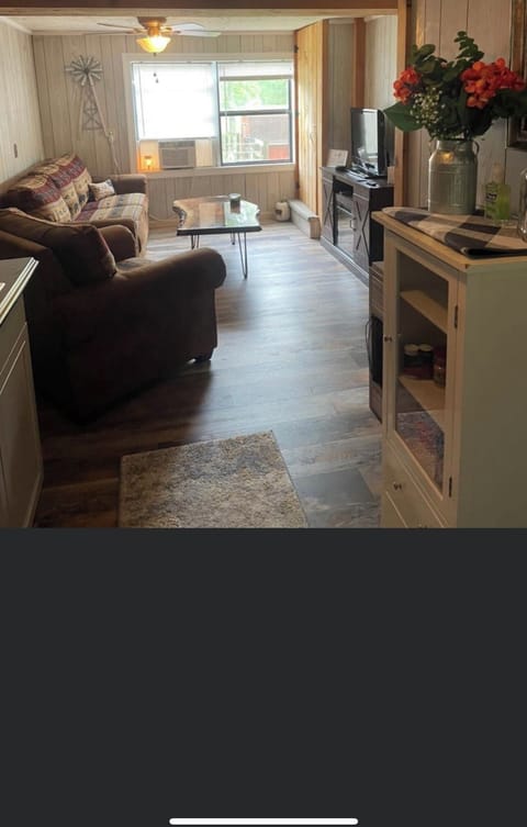 Queen size sofa bed, electric fireplace and smart tv