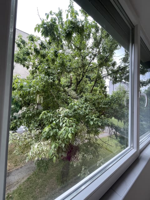 View from second bedroom