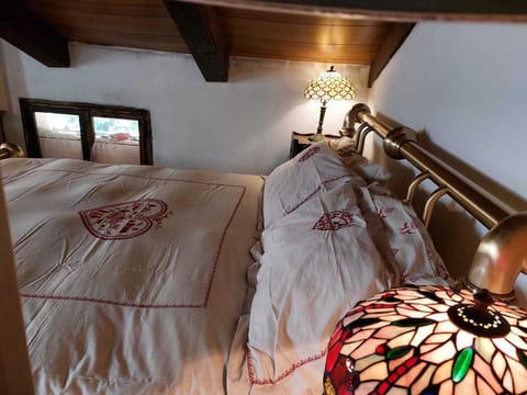 Alla finestra si affacciano spesso gli uccellini che nidificano nel parco