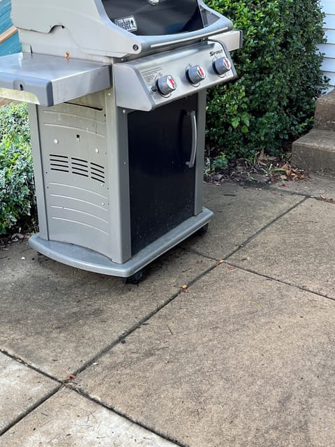 Gas grill