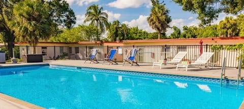 The pool is huge -- 20x40' (6x18m), but it is also very deep.  It's a saltwater pool, so you don't get the chemical smell you get from regular pools.
