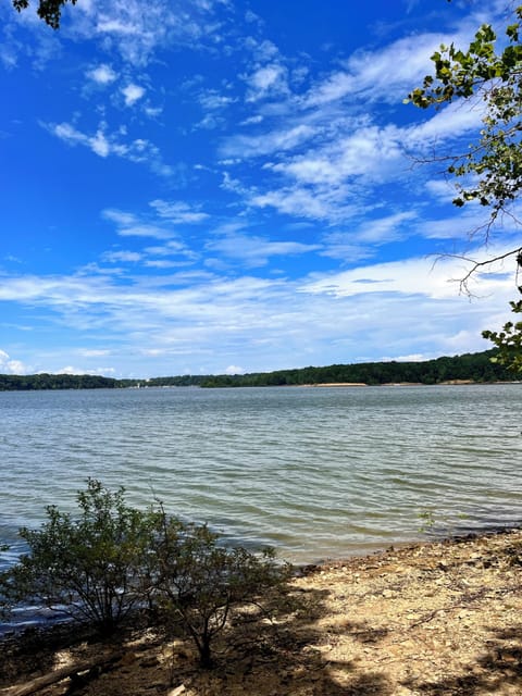 Direct access to Barren River Lake for fishing, swimming and kayaking.