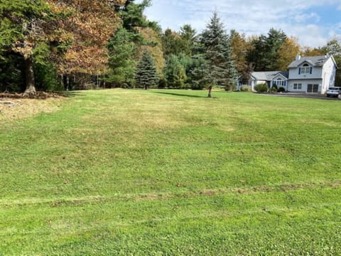 Large and beautiful landscape Surrounded with nature